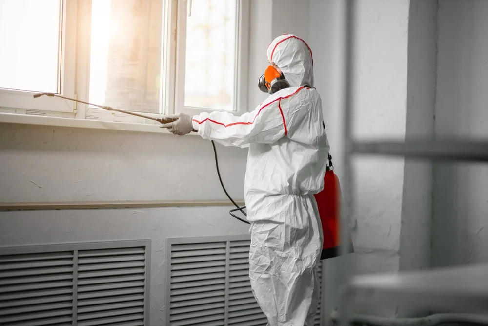 Professional mold remediation services in Genoa, NV